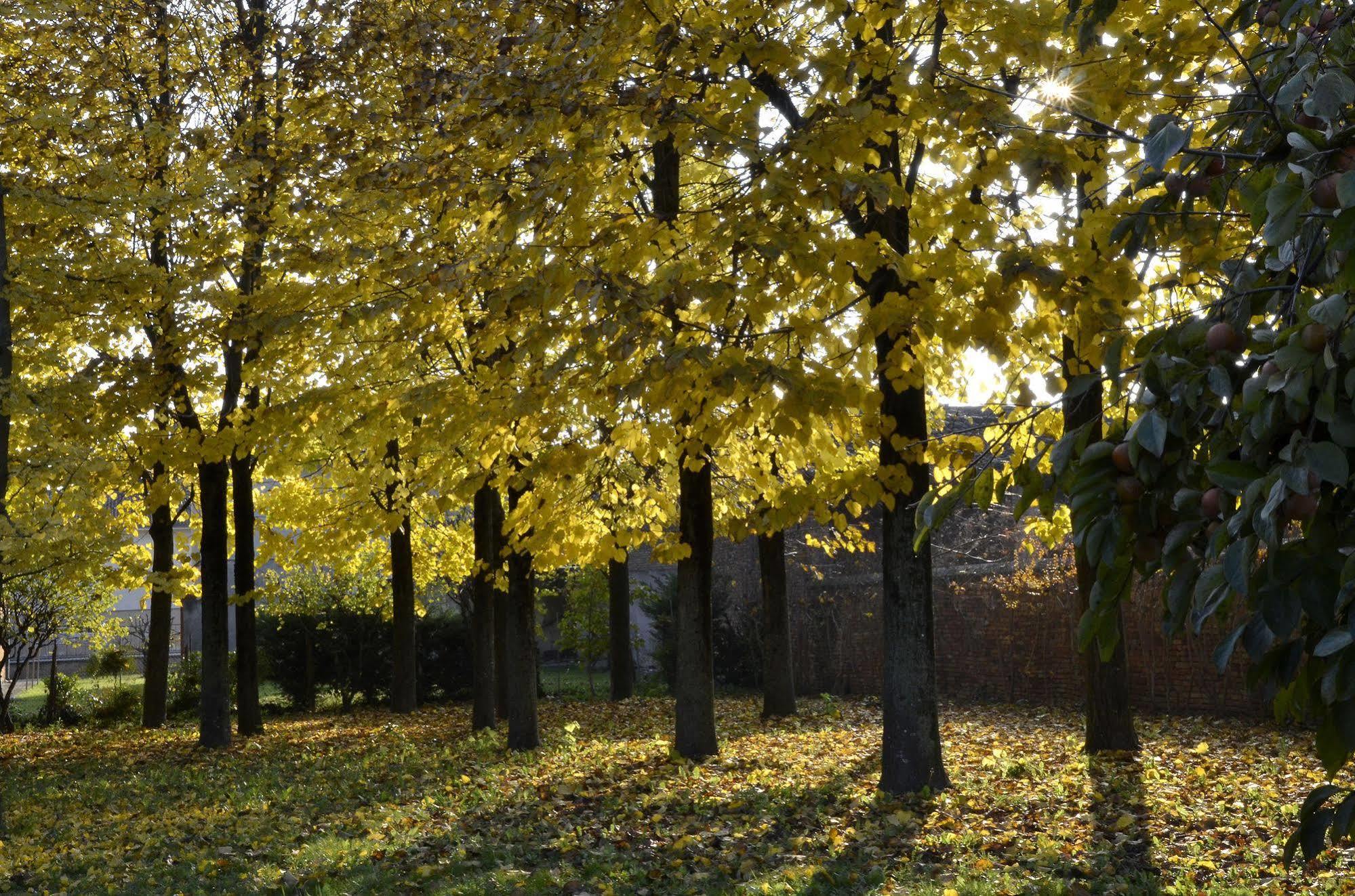 9 Muse Bed And Breakfast Canneto sull'Oglio Extérieur photo
